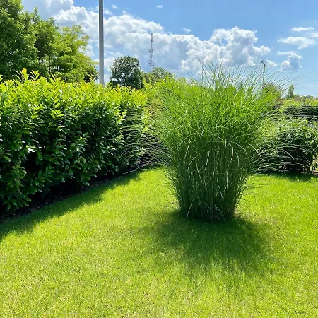 بيت للعطل Baboca - Siofok-sosto